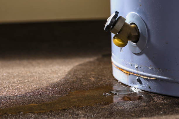 Best Fire Damage Restoration  in Anthony, NM