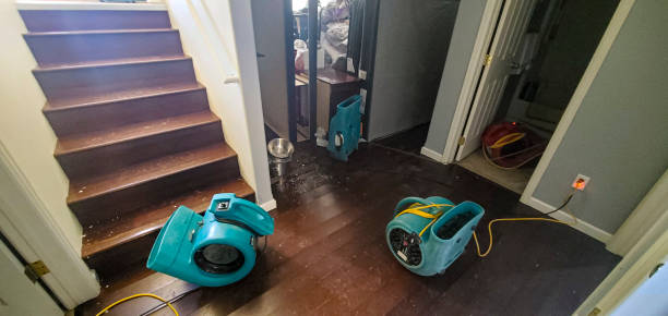 Best Local water damage restoration  in Anthony, NM
