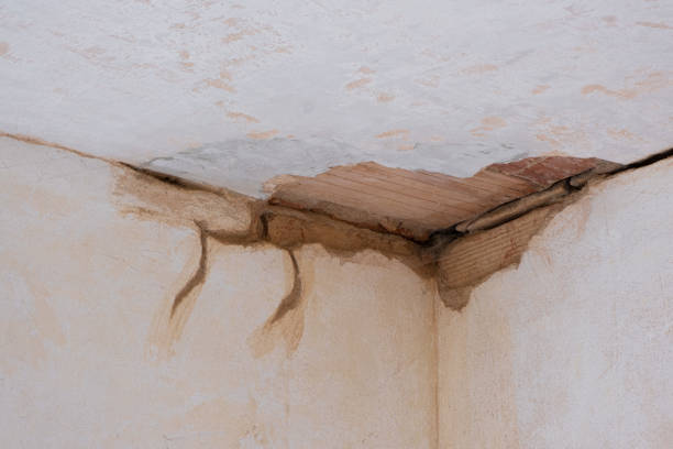 Best 24-hour water damage restoration  in Anthony, NM