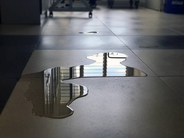 Best Water damage cleanup near me  in Anthony, NM