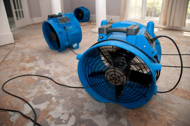 Reliable NM Water damage restoration Solutions