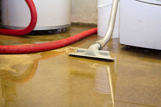 Best Flood restoration services  in Anthony, NM