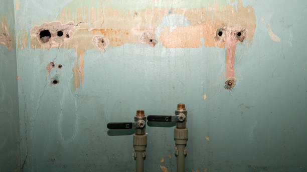 Best Water damage restoration near me  in Anthony, NM