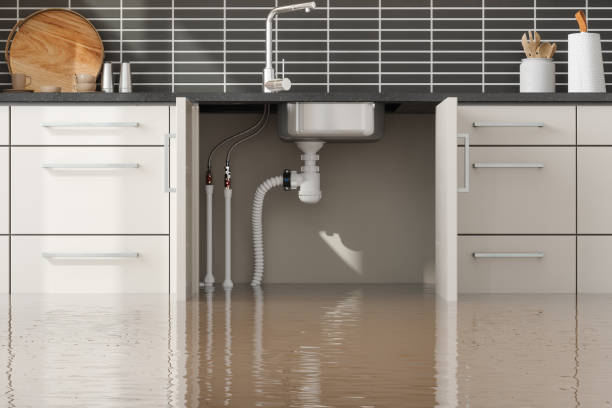 Best Professional water damage repair  in Anthony, NM