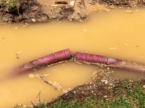 Best Water damage restoration near me  in Anthony, NM